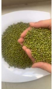 Mung Beans