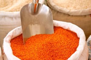 Red Lentils