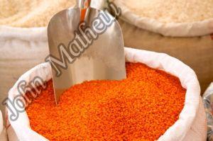 Red Lentils