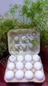 12 Eggs Paper Pulp Tray without Lock