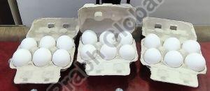6 Eggs Paper Pulp Tray with Lock
