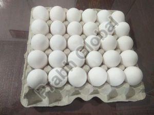Paper Pulp Egg Tray for 30 Eggs
