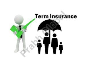 term insurance plan service