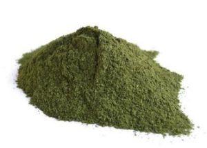 Alfalfa Extract