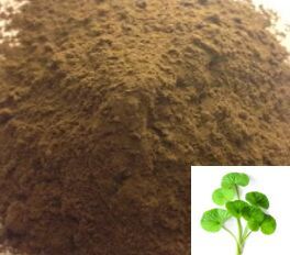 Gotu Kola Extract