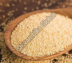 Poppy Seeds
