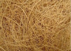 Coir Fibre