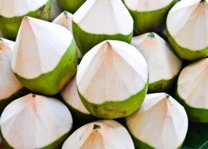 Fresh Coconut