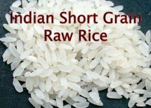 Indian Short Grain Raw Rice
