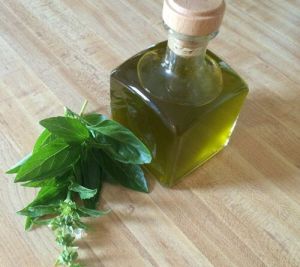 Indian Basil Oil