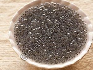 Basil Seeds