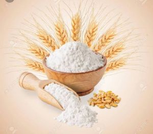 Wheat Flour