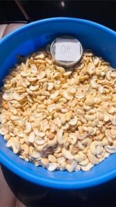 OP Split Cashew Nut
