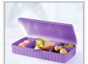 Tupperware Sandwich Keeper