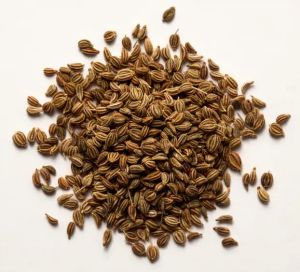carrom seeds