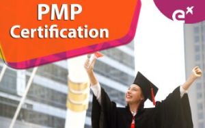 Pmp Certification Services