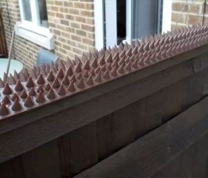 wall spikes