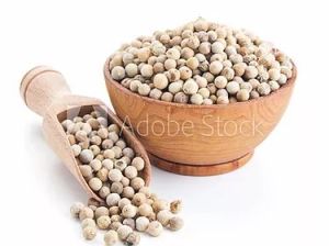White Pepper Seeds