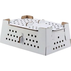 Corrugated Chick Packaging Boxes