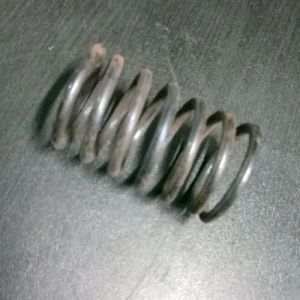 Head Valve Spring