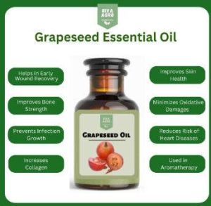 Grapeseed Oil