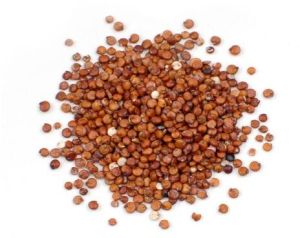 Quinoa Seeds