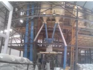 Cattle Feed Plant