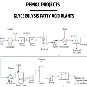 Glycerolysis Fatty Acid Plants