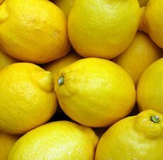 Fresh Yellow Lemon