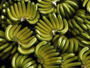 Fresh Cavendish Banana