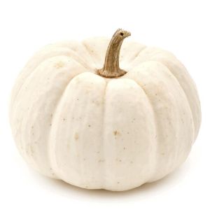 white pumpkin