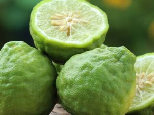 Bergamot Essential Oil