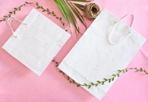 Seed Paper Gift Bags