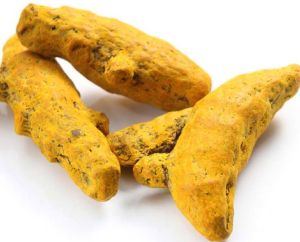 Salem Turmeric Finger