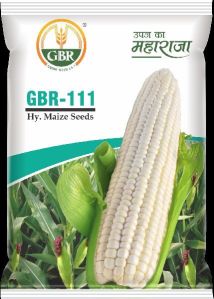 GBR-111 Maize Seeds