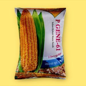 P.Gene - 61 Single Cross Yellow Maize Seeds