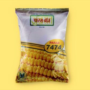 Paras 7474 Single Cross Yellow Maize Seeds