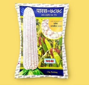 Paras 7878 Double Cross White Maize Seeds