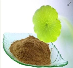 Brahmi Powder