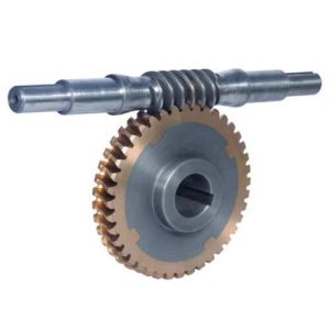 Worm Reduction Gear