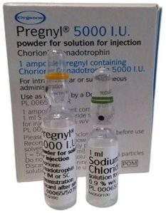 Pregnyl 5000 IU Injection