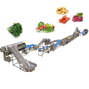 Frozen Cut Vegetable Processing Line