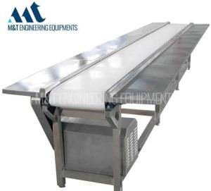 fruit sorting inspection conveyor