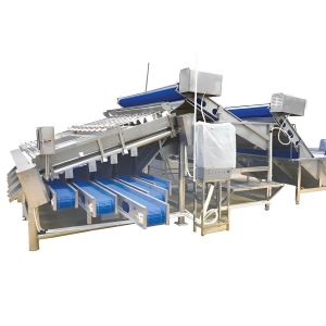 Shrimp Grading Machine