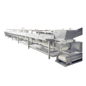 Shrimp Sorting Conveyor