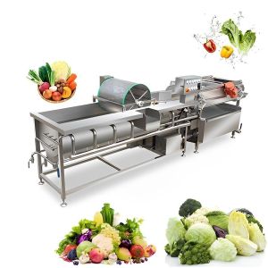 Vegetable and Fruit washer- Voetex Model