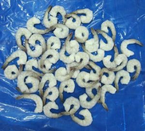 Frozen PDTO Shrimps