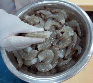 Frozen Ez Peel Shrimps