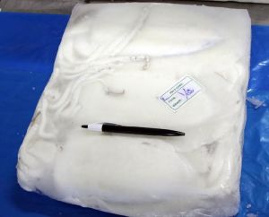 Frozen Cleaned Cuttlefish