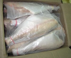 Frozen Unicorn Leather Jacket Fish